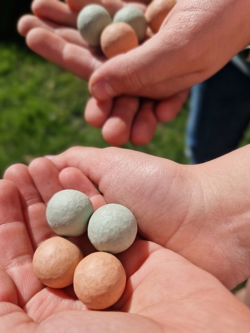 Twee kinderhanden gevuld met pastelkleurige bloembommen (blossombolletjes) in groen en terracotta, klaar om geplant te worden.
