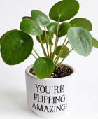 Minibloempot - You're Flipping Amazing