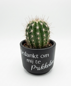 Minibloempot - Bedankt om Mij te Prikkelen