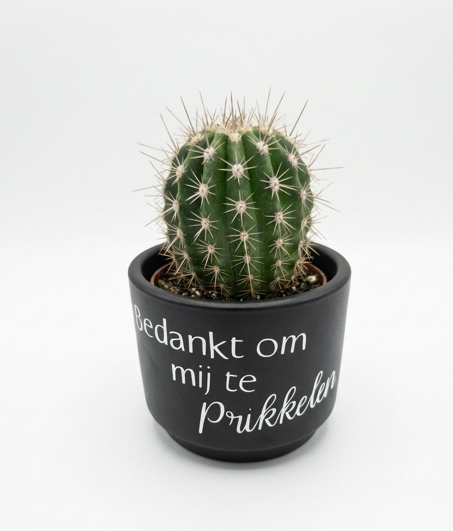 Minibloempot (7x6cm) "Bedankt om mij te prikkelen"